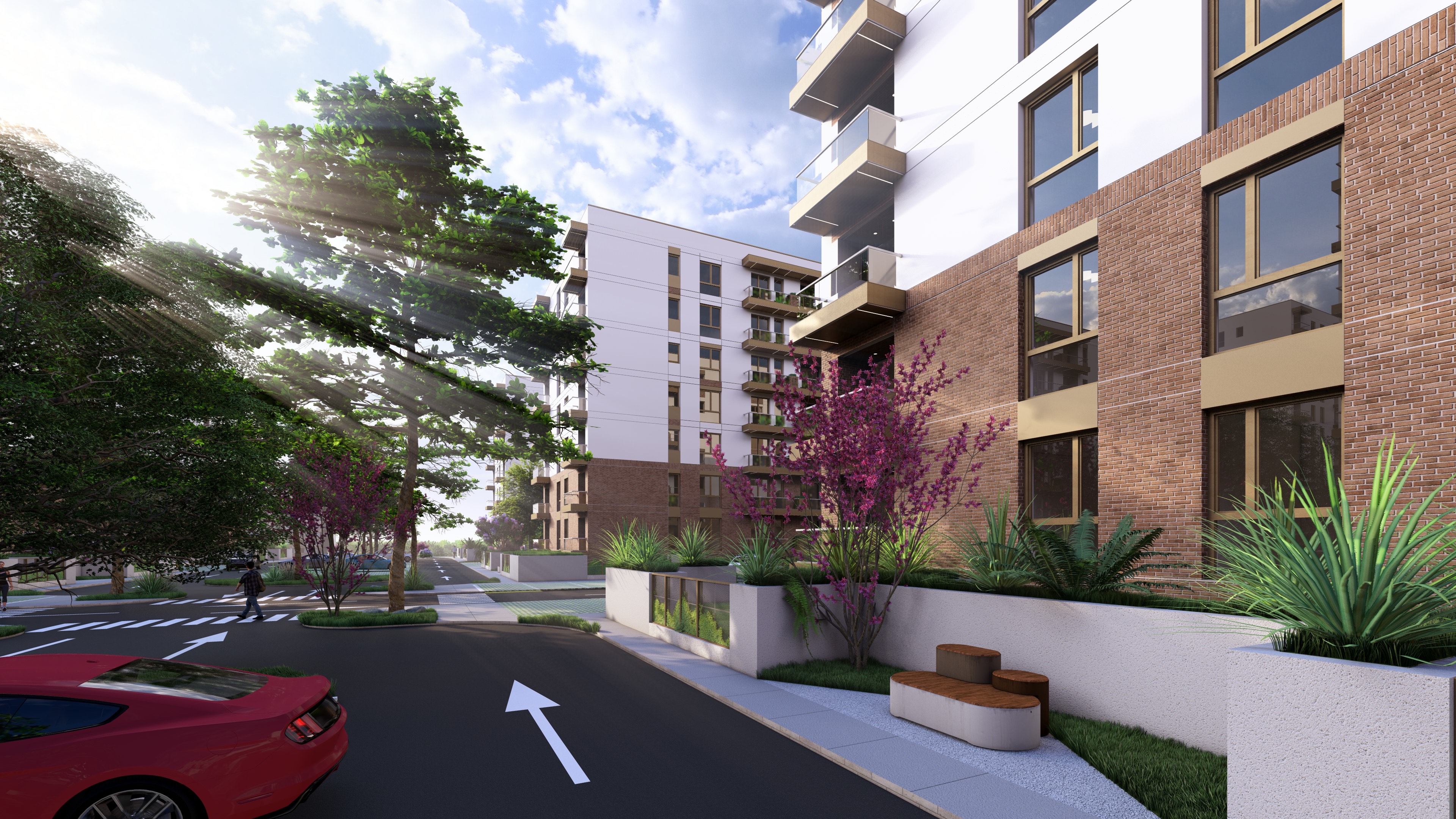 Stradă cu copaci înfloriți și fațade moderne